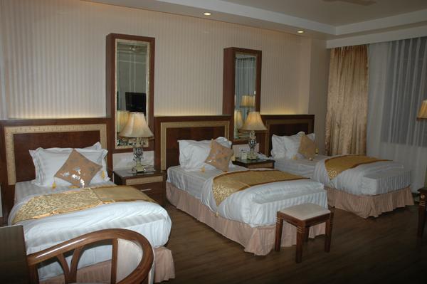Hotel Picasso Paschim Vihar Delhi - Couple Friendly Local Ids Accepted Екстериор снимка